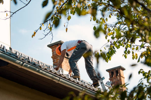 Roof Gutter Cleaning in Youngtown, AZ